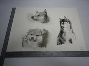 「犬」水墨画【坂垣内 将泰】作者直筆原画「真作」P10号ハーネミューレ紙(経年保管品)【送料無料】00700232