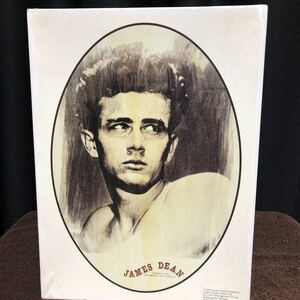 ジェームズ ディーン、 ジグソーパズル 、742ピース 、James Dean、 アートボックス、内袋未開封品