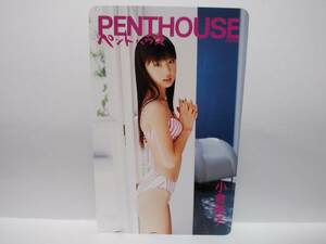 小倉優子テレカ　PENTHOUSE JAPAN　ペントハウス 管理番号149