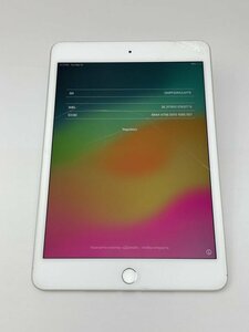 117【ジャンク品】 iPad mini 第5世代 64GB au シルバー