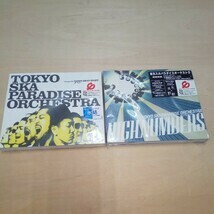 CD 東京スカパラダイスオーケストラ　DOWN BEAT ALLEY　スカパラ 2枚　新品