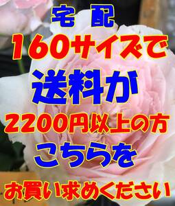 ヤフネコ宅急便 U160　　宅配　160　サイズで送料が　2200円　以上の方はこちらをお求めください