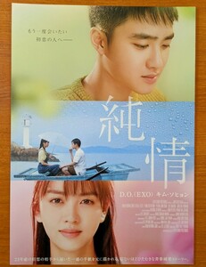 映画チラシ「純情」２０１６年。韓国映画 。