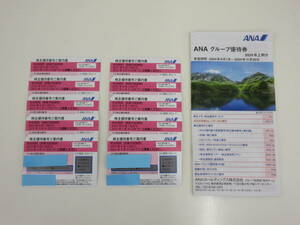 全日空 ANA 株主優待券　2024/06/01〜2025/05/31　10枚 ＋ ANAグループ優待券 冊子 セット