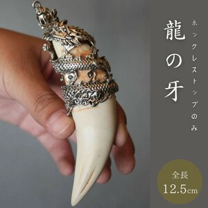 ネックレス 龍の牙 トップのみ ドラゴン 龍 アクセサリー メンズ ジュエリー スタイル お洒落アイテム