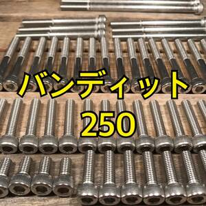 ステンレス製 バンディット250 GJ77A 左右エンジンカバーボルト 合計24本