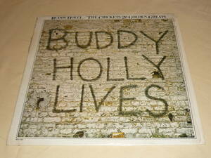 Buddy Holly & The Crickets / 20 Golden Greats ～ US / 1978年 / MCA Records MCA-1484 / シュリンク付