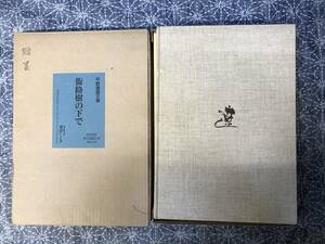 平野遼画文集 街路樹の下で 光アート 限定47/300部 落款署名入り 1988年