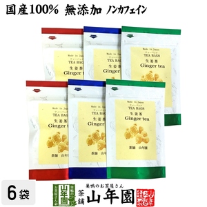 健康茶 国産100% 生姜茶 ジンジャーティー 2g×5パック×6袋セット 熊本県産 送料無料