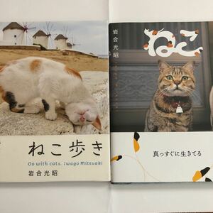 ねこ歩き 岩合光昭／著　　ねこ　　岩合光昭　サイン本