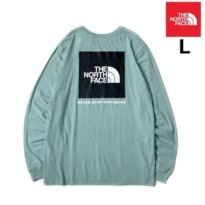 1円～!売切!【正規新品】THE NORTH FACE◆L/S BOX NSE TEE 長袖 Tシャツ ロンT US限定 ボックスロゴ 男女兼用 キャンプ(L)緑 180902-5