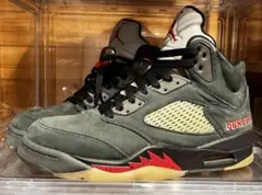 Nike WMNS Air Jordan 5 Retro GORE-TEX