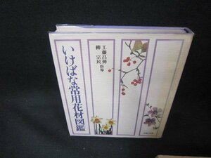 いけばな常用花材図鑑/DAZL