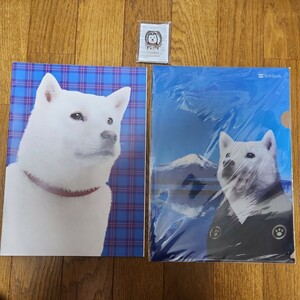 ソフトバンク　お父さん　ノート　クリアファイル　マルチリング　　SoftBank白い犬スマホリング