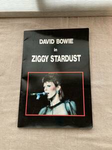 DAVID BOWIE IN ZIGGY STARDUST パンフレット