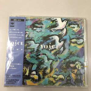 CD 新品未開封【邦楽】長期保存品　Voice ブルー
