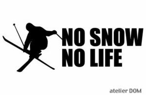 NO SNOW NO LIFE ステッカー スキー1 (Sサイズ) フリースタイル モーグル ハーフパイプ スキー SKI シール