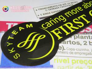 ◆◇◆49007-ExHS◆◇◆[AIRLINES-STICKER] エアラインFIRST-CLASS＊SKYTEAM_スカイチーム