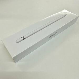 【TM0507】未開封品 Apple Pencil アップルペンシル 第1世代 モデル：A1603 USB-C Lightningアダプタ 交換用チップ iPad 第10世代 周辺機器