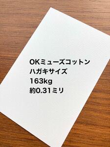 20枚◆ハガキサイズ◆高級感◆OKミューズコットン163kg