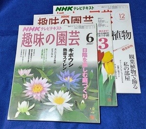 単行本 趣味の園芸 2007年 3月号・6月号・12月号 3冊セット [日本放送出版協会] 中古