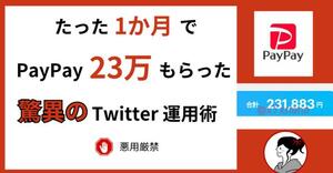 【1か月でPayPayで23万稼ぐ】　驚異のX（Twitter）運用術 /主婦が編み出したファン化手法★合法的に送金してもらうマニュアル★在宅 SNS