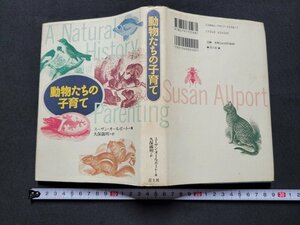 n■　動物たちの子育て　スーザン・オールポート著　1998年第1刷発行　青土社　/A22