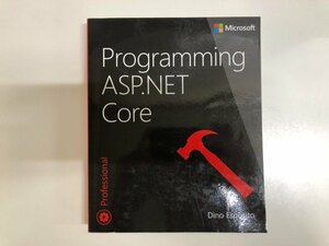 ★　【英語版 Programming asp.net core Microsoft Press 2018年】176-02311