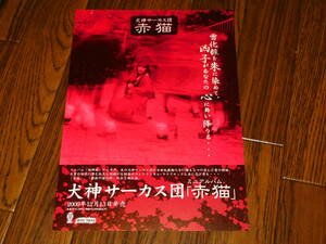 レア 犬神サーカス団 / 赤猫 非売品フライヤー！ 犬神サアカス團 犬神凶子