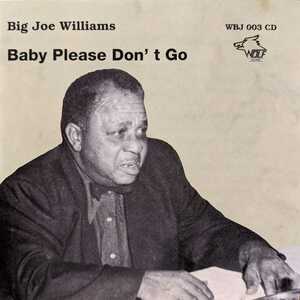 Big Joe Williams / Baby Please Don