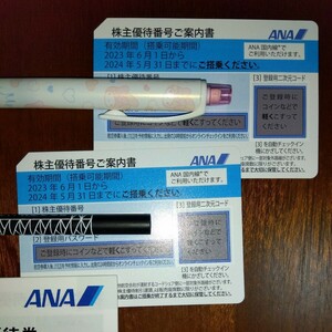 ANA株主優待券　2枚セット　有効期限2024年5月31日　送料無料