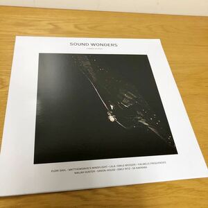SOUND WONDERS/V.A. アンビエント[LP+DLコード] Touchtheplants Elori Saxl Nailah Hunter Green-House