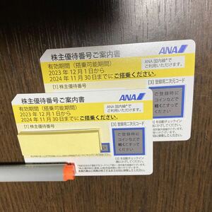 最新★ANA 全日空　株主優待券 2枚セット 期限2024年11月30日★送料無料