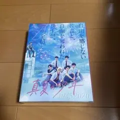 真夏の少年 DVD