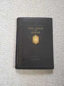 1927年 米国 野鳥図鑑『The Book of Birds』