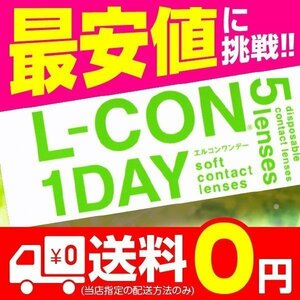 エルコンワンデー 6箱 5枚入 コンタクトレンズ 1day コンタクト