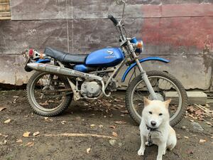 1969年 SL90 不動　クランキングok 茨城県常陸太田市　検　SL70 CB50 CS90 SS50 C100 C110 カブ Z50J Z50M