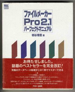 【d6500】1995年 ファイルメーカーPro2.1 パーフェクトマニュアル／岩谷香里