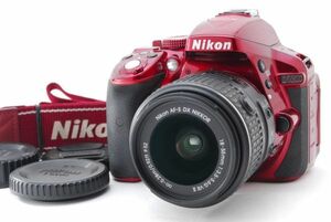 ■美品■ ニコン Nikon D5300 + AF-S NIKKOR 18-55mm VR2 レンズキット《 ショット数 2285回 》　D240130373-240187