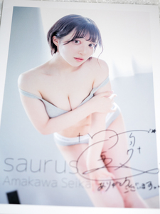 saurus 天川星夏 コスプレ 写真集 冊子