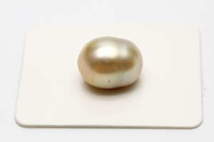 南洋白蝶真珠パールルース　両穴　13×11mm　ナチュラルゴールドカラー