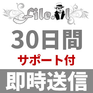 【自動送信】File.AL プレミアムクーポン 30日間 安心のサポート付【即時対応】