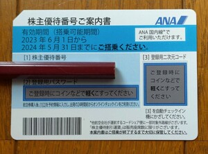 ◆番号通知のみ◆ANA 全日空株主優待券1枚◆2024年5月31日まで