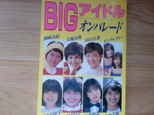 BIGアイドル オンパレード　　　　　岡崎友紀、天地真理、山口百恵、他