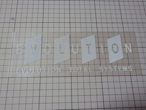 純正 EVOLUTION TOTAL SYSTEMS ステッカー (切り文字/転写/約200×68mm) エボリューション VIP カー