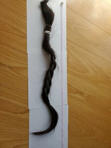 髪束 髪の毛　20代　最長60cm99g