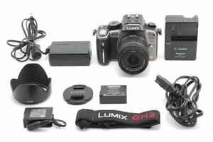 Panasonic LUMIX パナソニック ルミックス DMC-GH2 + G VARIO 14-42mm F3.5-5.6 MEGA O.I.S (90-w990)