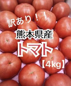 【匿名配送】 毎年大好評！ 熊本県産 訳あり トマト 4kg程度 ②