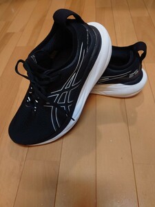 ASICS Gel-Nimbus 25　アシックス　ゲルニンバス 25　EXTRA WIDE　エクストラワイド　26.5cm