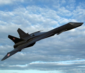 アニグランド 1/72 MiG-31 Firefox ファイヤーフォックス レジンキット ガレージキット ガレキ 全長26cm位 WF ワンフェス 2024